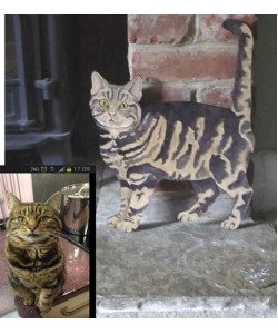 Personalised Cat Standing Wall Plaque Personalised Cat Standing Wall Plaque